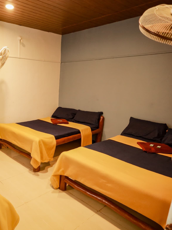 Standard Non AC room